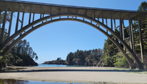 Bridges of Mendocino County, another Joe Buck tale by Rick Beck