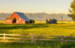 Farm Fun by Rick Beck